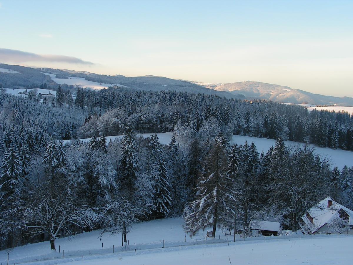 Hotel Sternen Lenzkirch Esterno foto